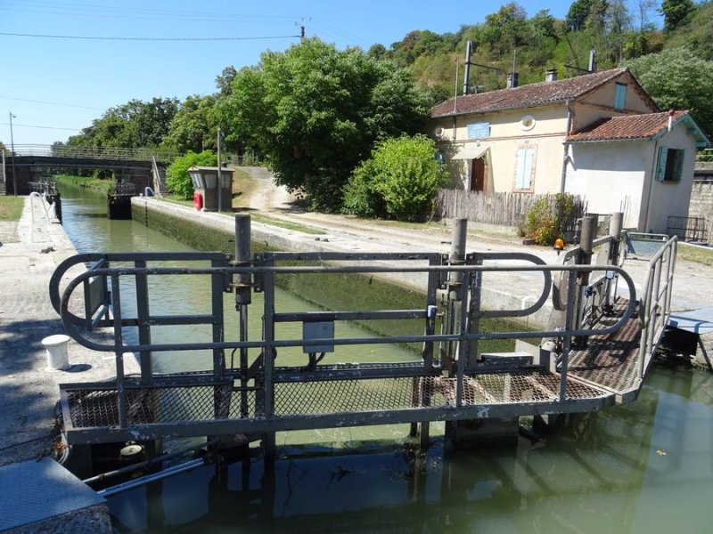 Malause
